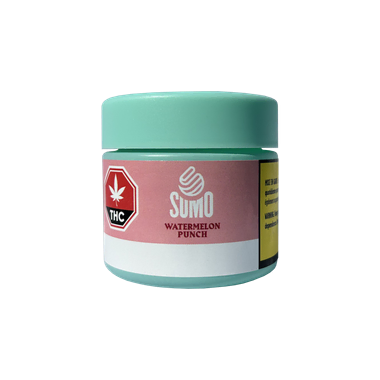 Watermelon Punch